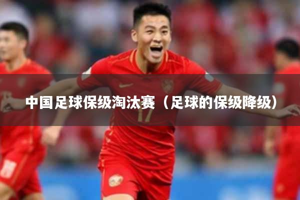 中国足球保级淘汰赛（足球的保级降级）