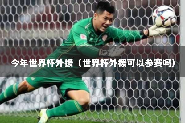 今年世界杯外援（世界杯外援可以参赛吗）