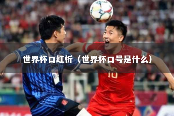 世界杯口红析（世界杯口号是什么）