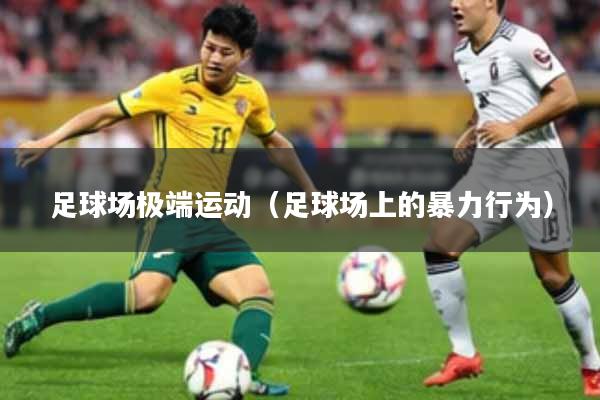 足球场极端运动（足球场上的暴力行为）