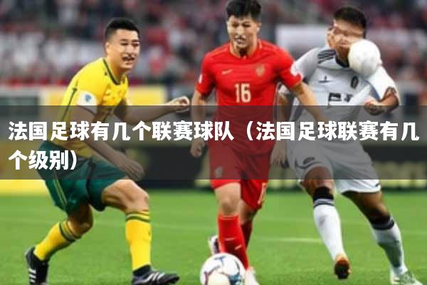 法国足球有几个联赛球队（法国足球联赛有几个级别）