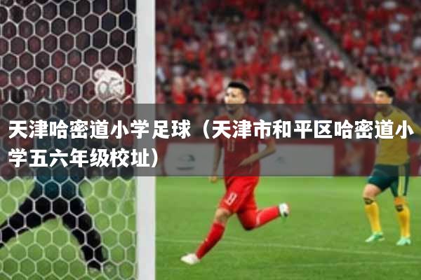 天津哈密道小学足球（天津市和平区哈密道小学五六年级校址）