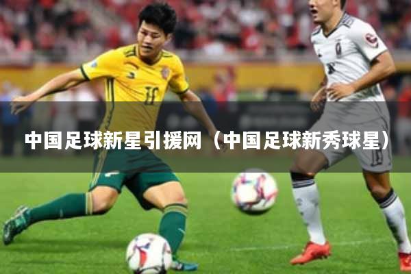 中国足球新星引援网（中国足球新秀球星）