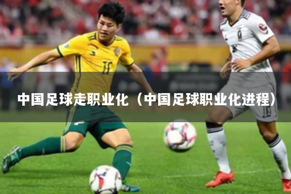 中国足球走职业化（中国足球职业化进程）