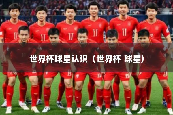 世界杯球星认识（世界杯 球星）