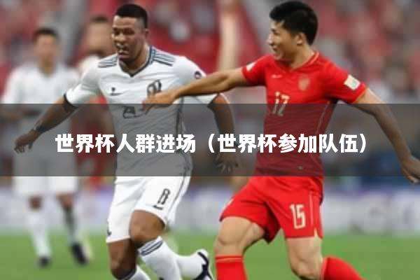 世界杯人群进场（世界杯参加队伍）