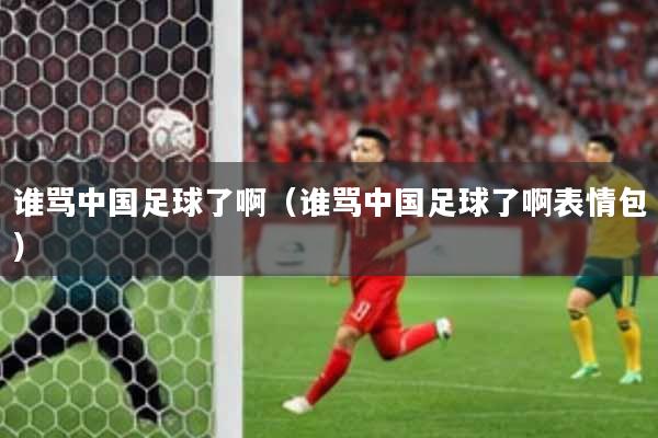 谁骂中国足球了啊（谁骂中国足球了啊表情包）