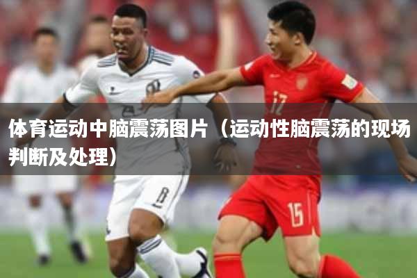 体育运动中脑震荡图片（运动性脑震荡的现场判断及处理）
