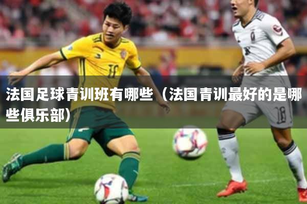 法国足球青训班有哪些（法国青训最好的是哪些俱乐部）