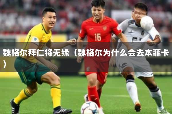 魏格尔拜仁将无缘（魏格尔为什么会去本菲卡）
