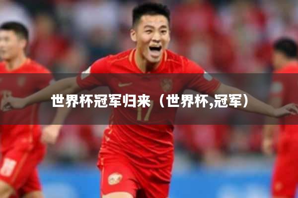 世界杯冠军归来（世界杯,冠军）