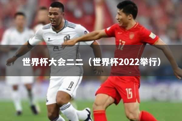 世界杯大会二二（世界杯2022举行）