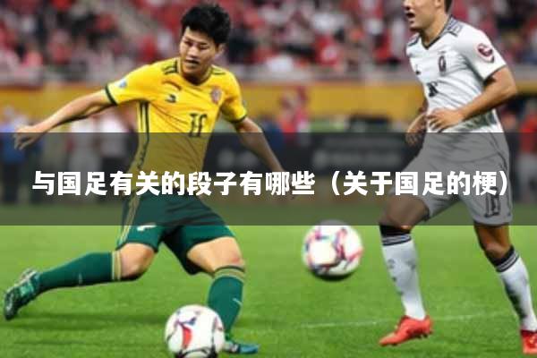 与国足有关的段子有哪些（关于国足的梗）
