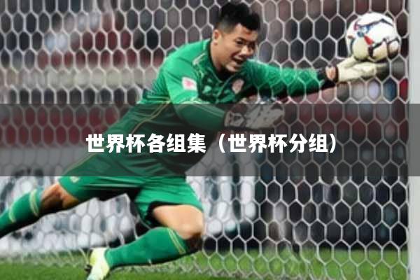 世界杯各组集（世界杯分组）