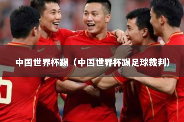 中国世界杯踢（中国世界杯踢足球裁判）