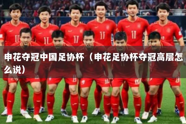 申花夺冠中国足协杯（申花足协杯夺冠高层怎么说）